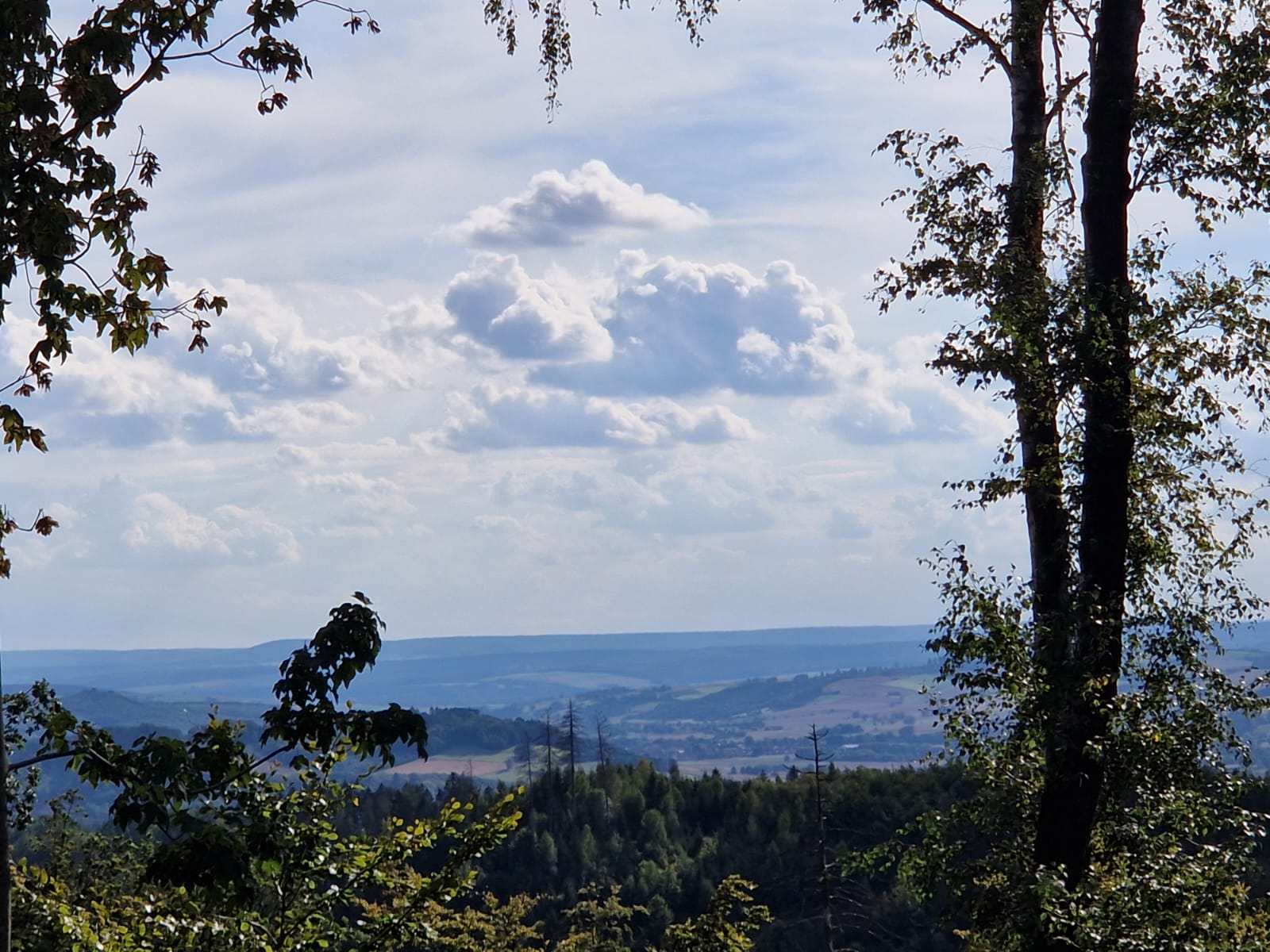 Harz 13