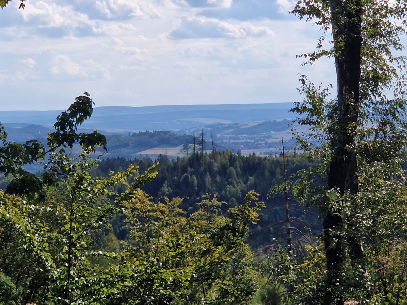 Harz 14