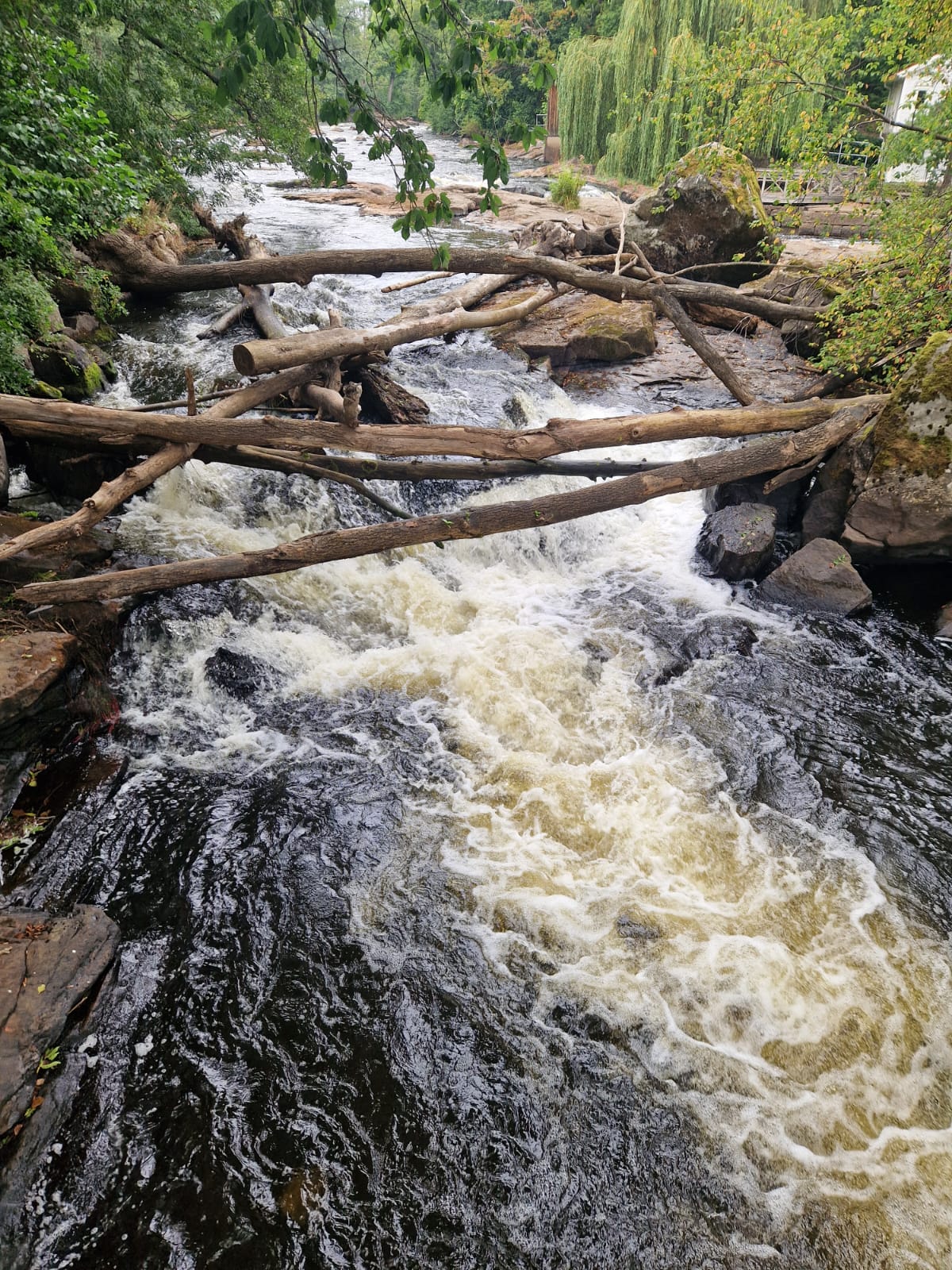 Harz 2