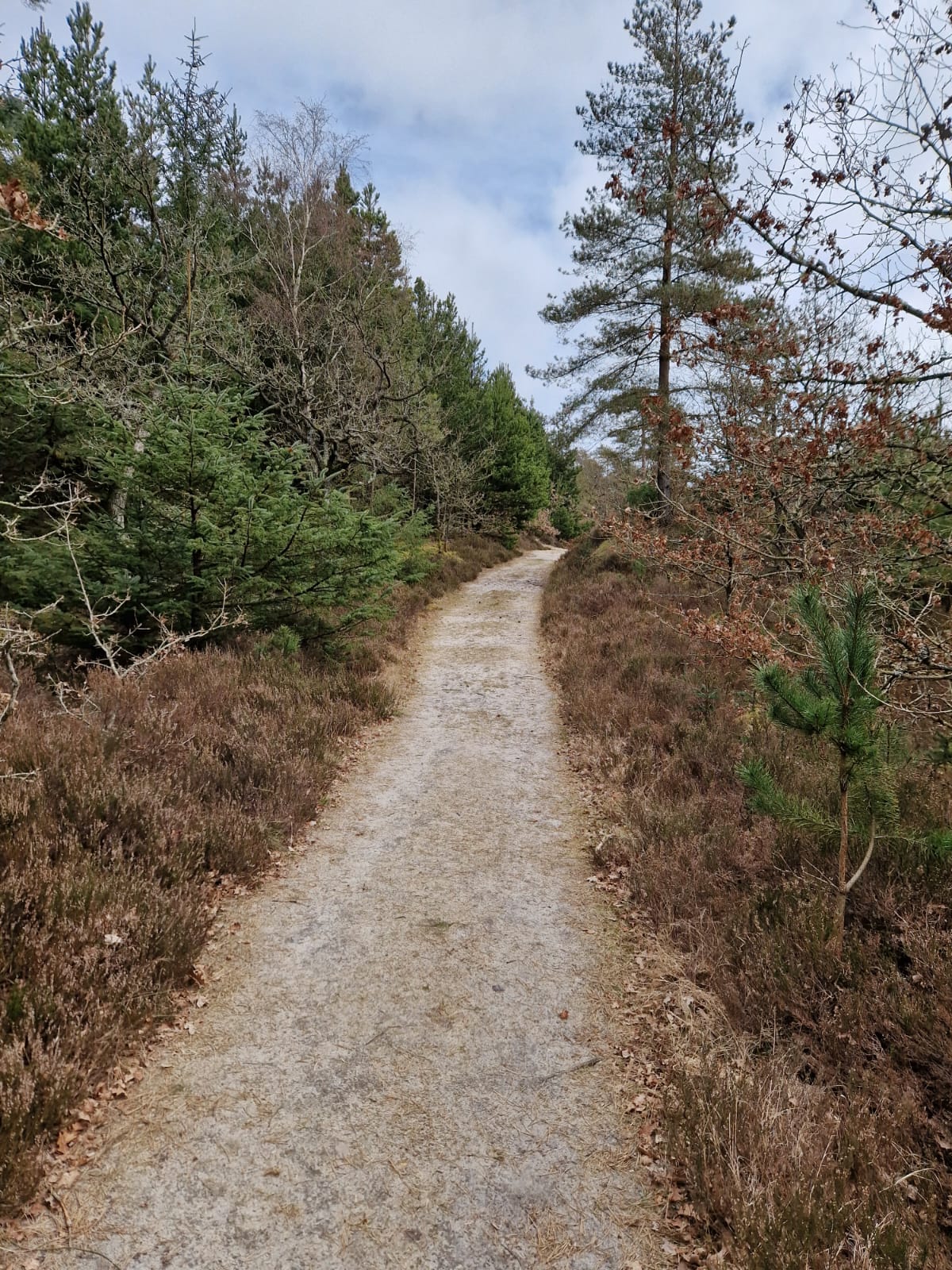 Harz 4