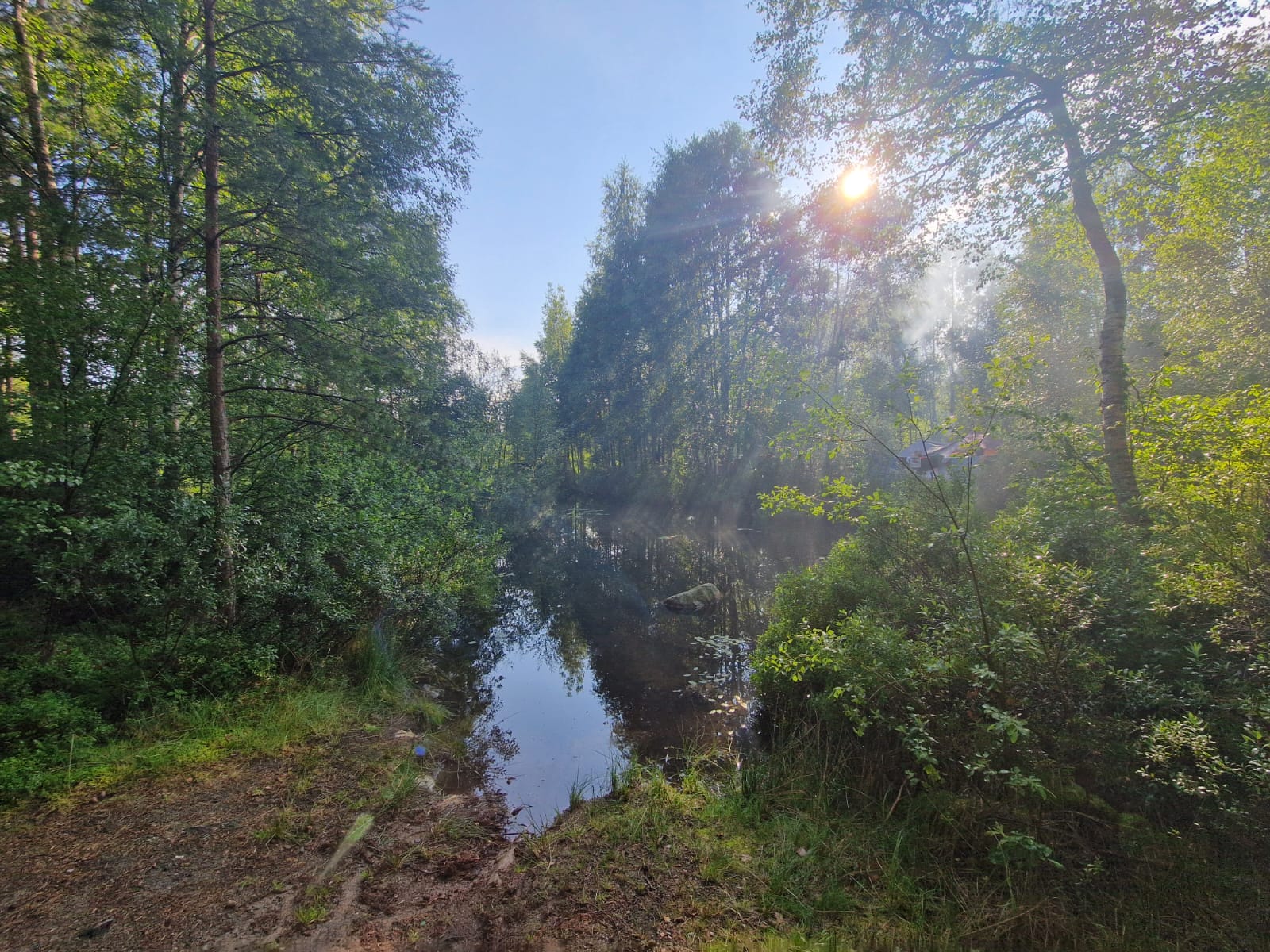 Harz 7