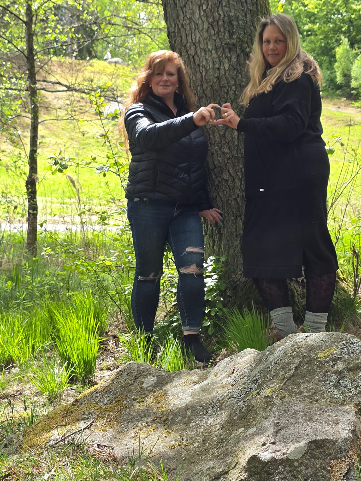 Harz 8