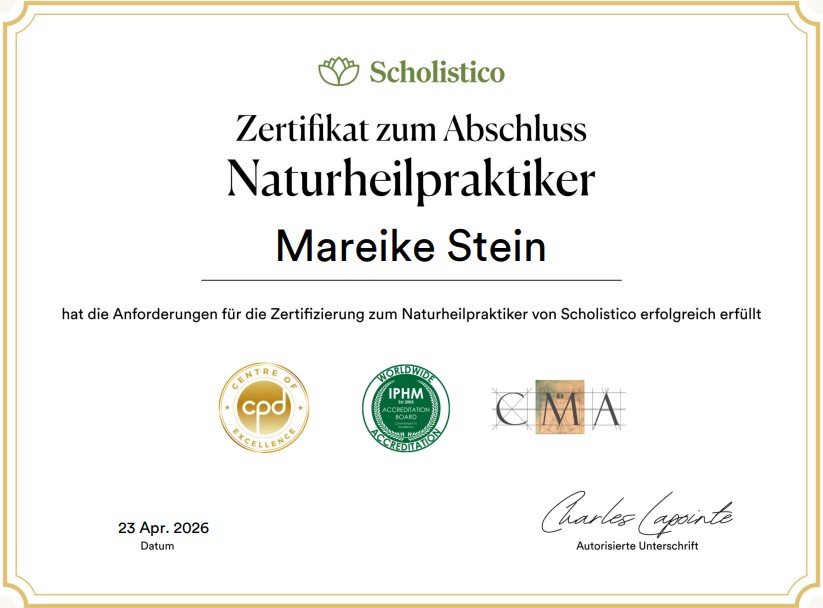 Steinhof Energiearbeit – Atmosphäre